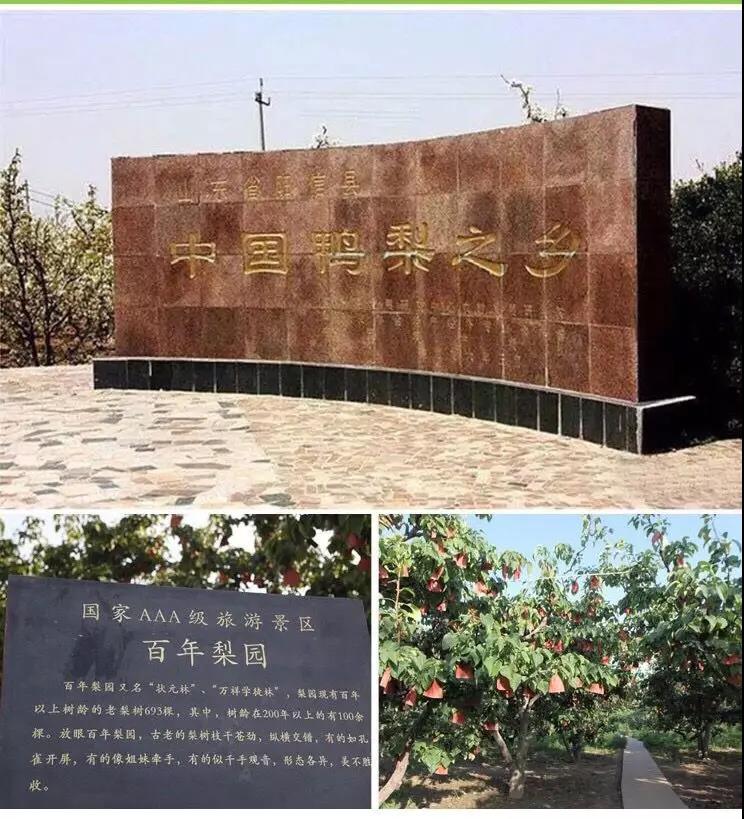微信圖片_20190924091109.jpg