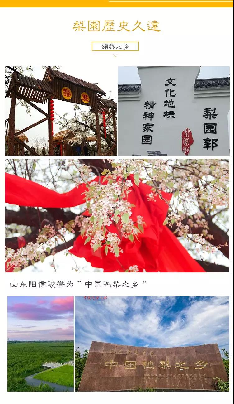 微信圖片_20190924091125.jpg